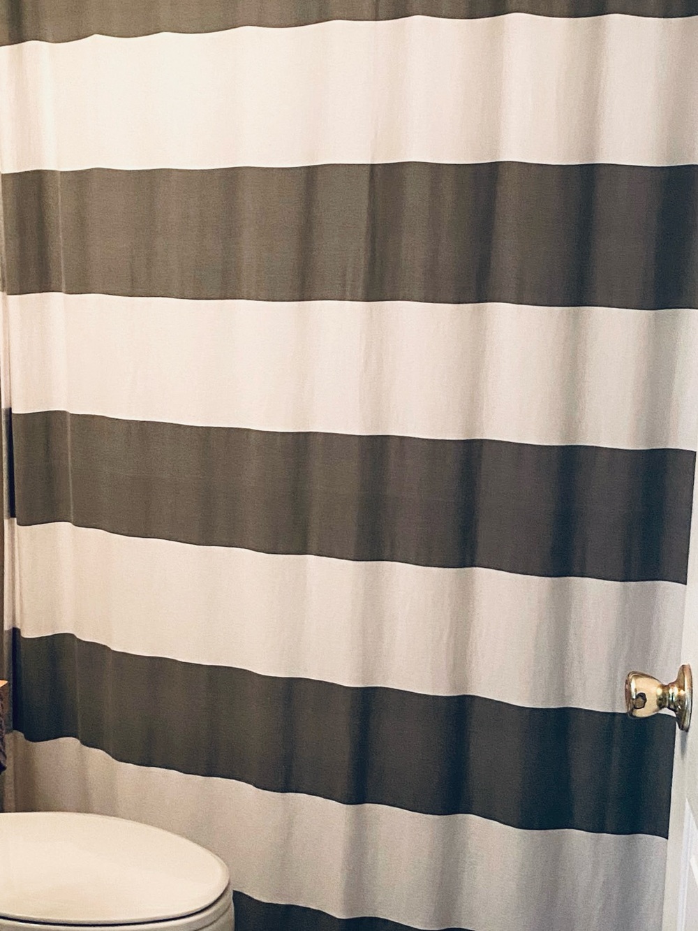 Kassatex Wide Stripe White and Gray Shower Curtain